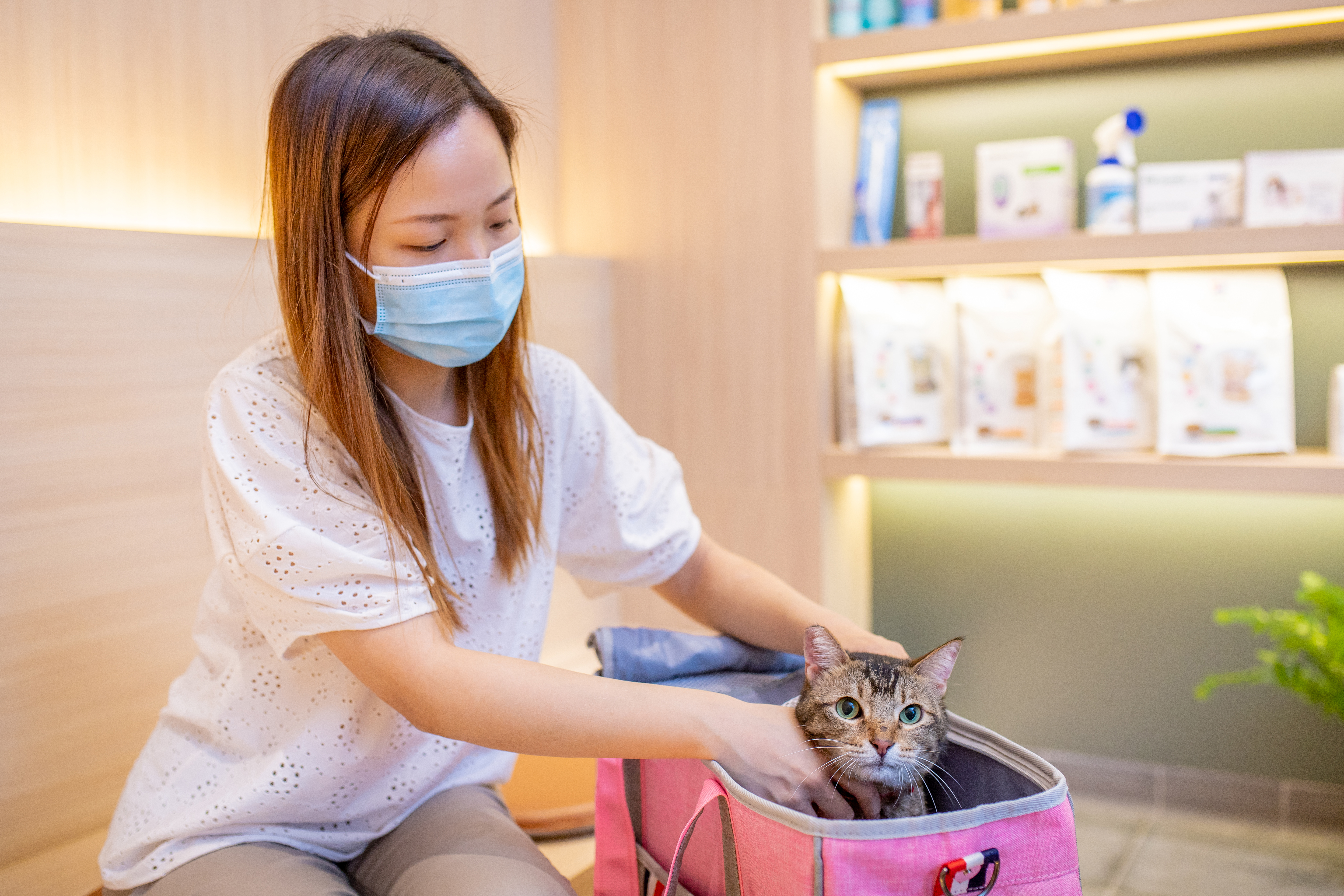 Gold cat-friendly care — New Territories (North) Animal Medical Centre