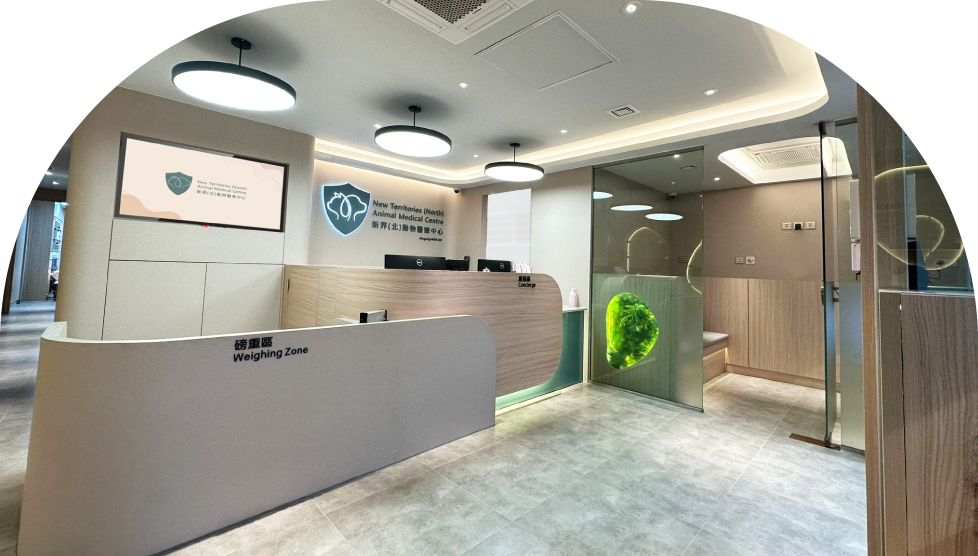 Reception area at NTNAMC