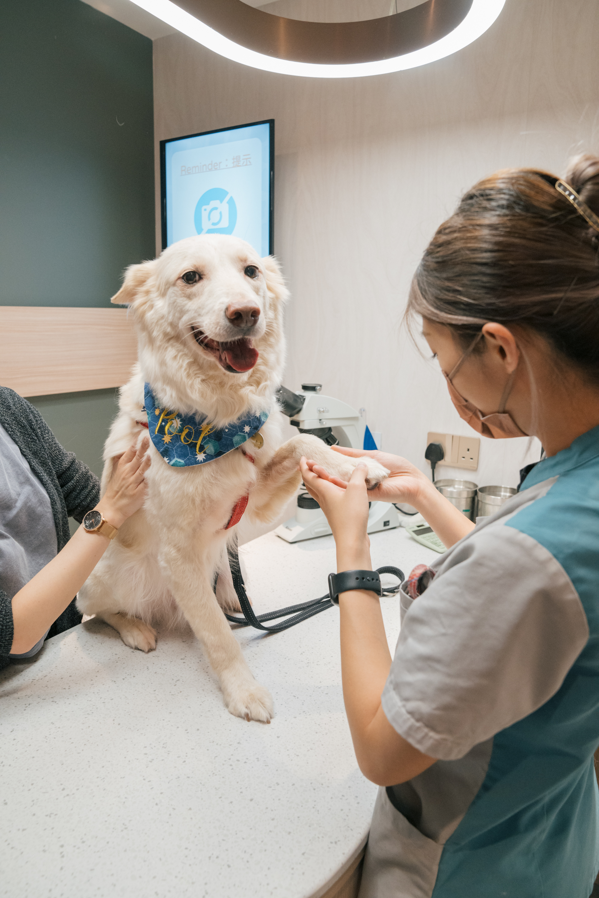 Consultations — New Territories (North) Animal Medical Centre