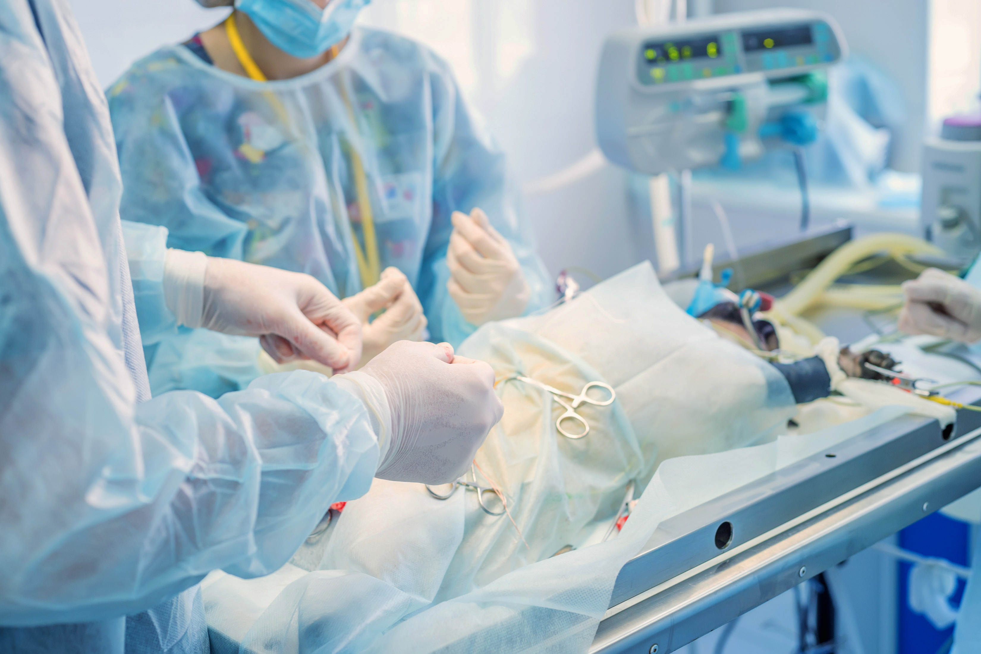 Endoscopy — New Territories (North) Animal Medical Centre